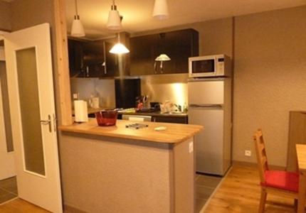 2 Alpes Les Bleuets appartement pied des pistes 7