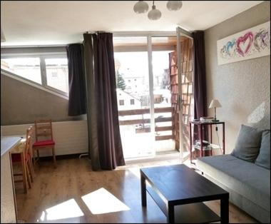 2 Alpes Les Bleuets appartement pied des pistes 9