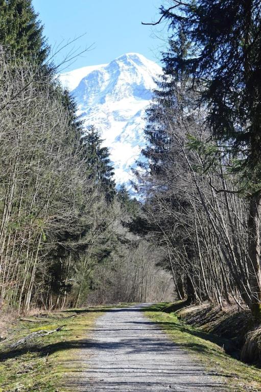 2 bedroom Apartment in Les Houches Stones throw from Prairon lift appartement pied des pistes 13