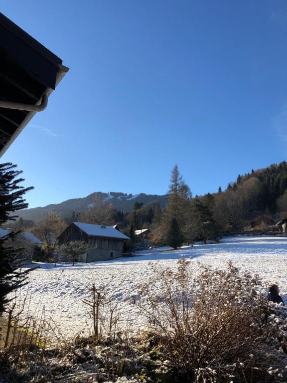 2 pieces avec terrasse Morillon Village appartement pied des pistes 1