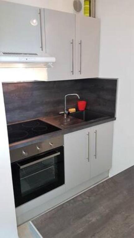 2 pieces renove 36 m² sud avec vue montagne appartement pied des pistes 3