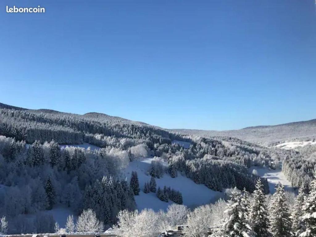2 pieces renove 36 m² sud avec vue montagne appartement pied des pistes 9