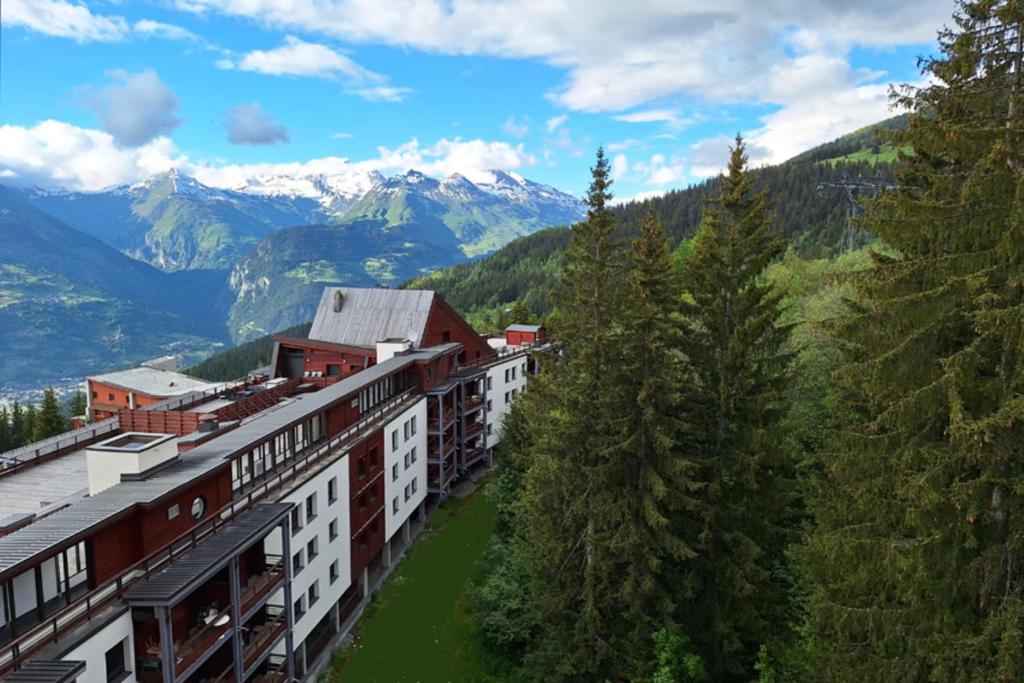 3 rooms apartment in front of snow appartement pied des pistes 11