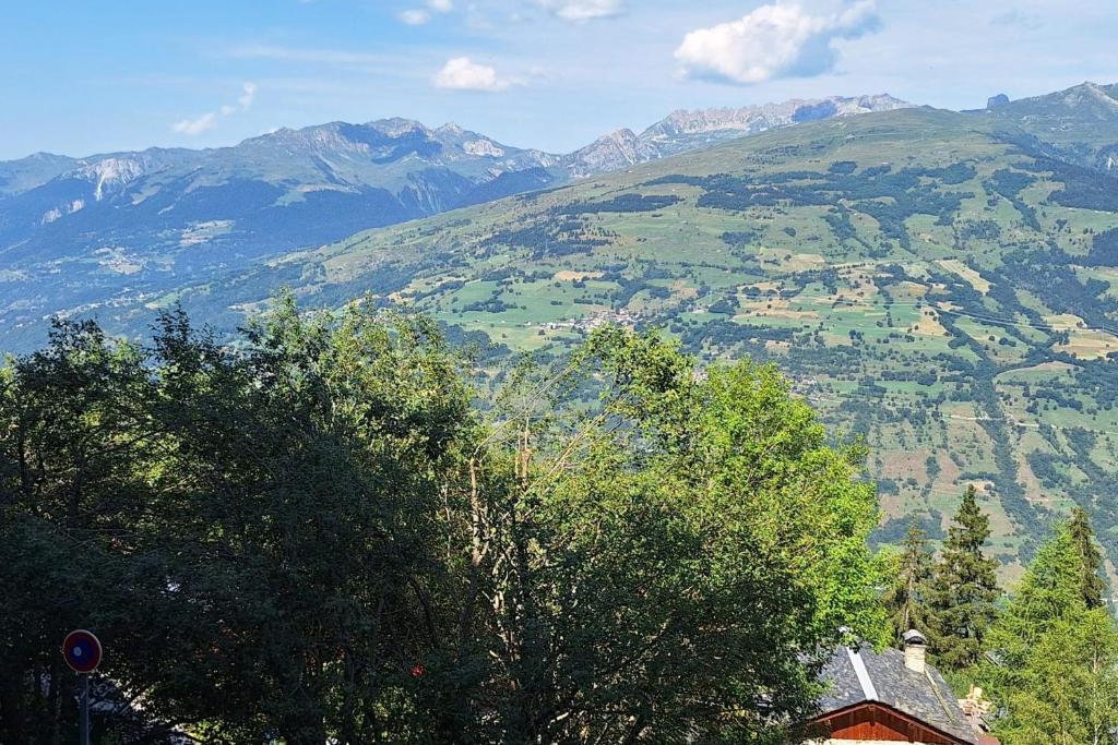 3 rooms apartment in front of snow appartement pied des pistes 12