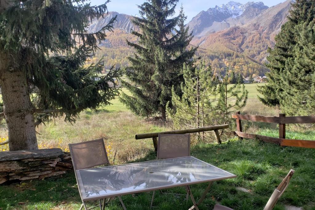 40m with garden and nice view on the valley appartement pied des pistes 15