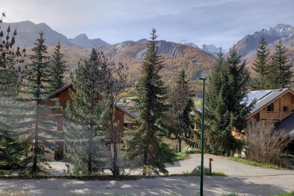 40m with garden and nice view on the valley appartement pied des pistes 18