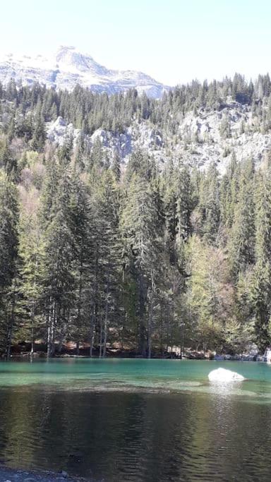 A Cordon entre Bois et Nature appartement pied des pistes 15