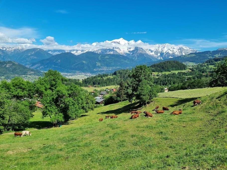 A Cordon entre Bois et Nature appartement pied des pistes 17