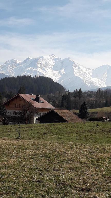A Cordon entre Bois et Nature appartement pied des pistes 19