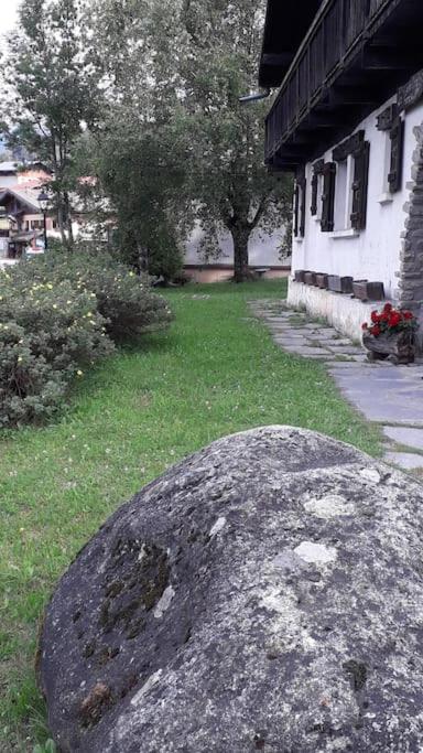 A Cordon entre Bois et Nature appartement pied des pistes 9