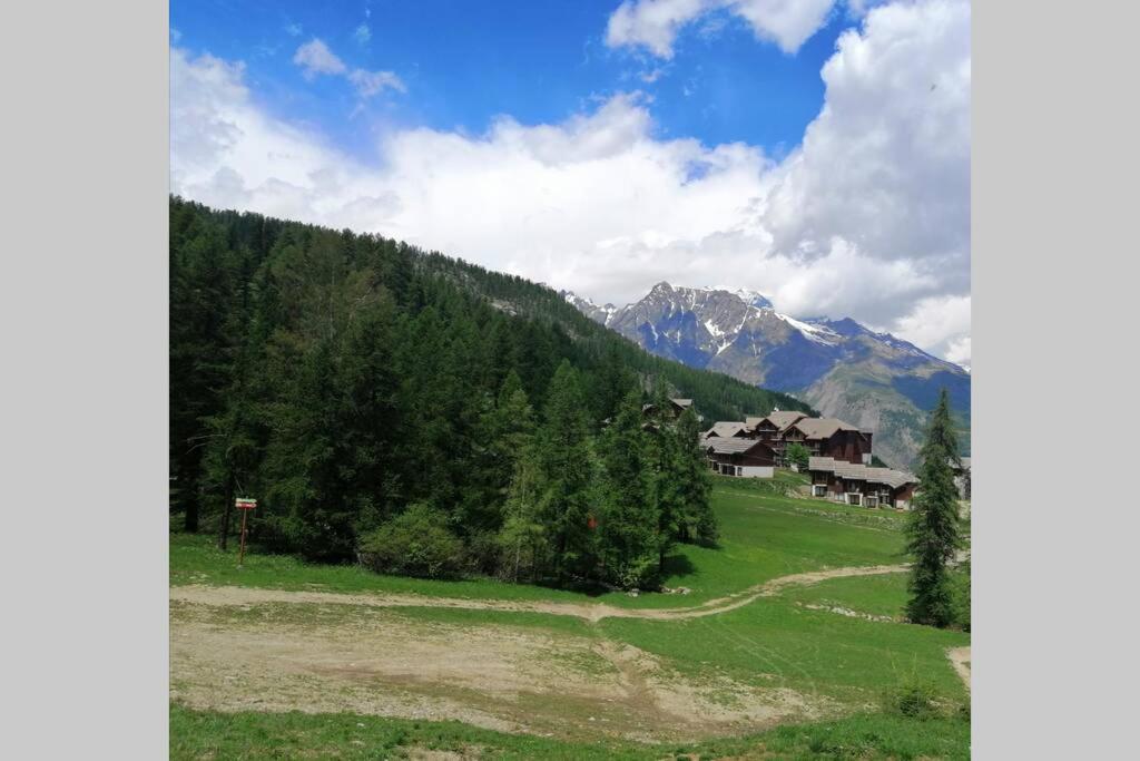 APPARTEMENT PUY SAINT VINCENT ALPES DU SUD ete hiver appartement pied des pistes 18