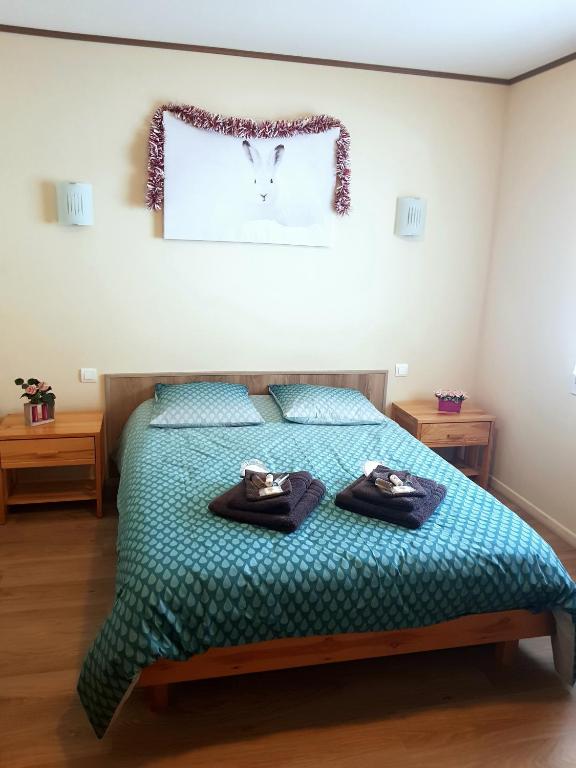 APPT 3 LE HAUT DES LACS appartement pied des pistes 1