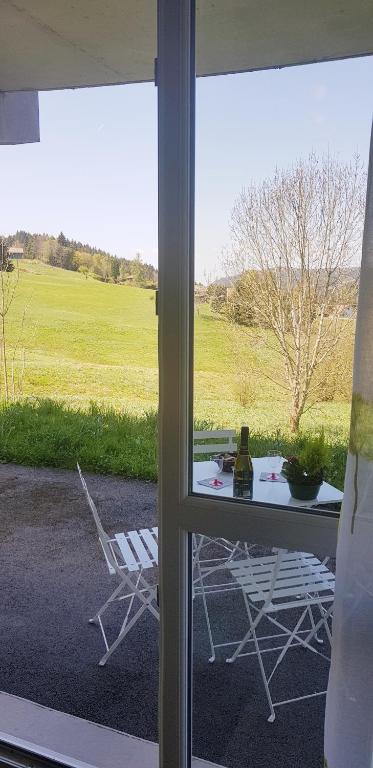 APPT 3 LE HAUT DES LACS appartement pied des pistes 12