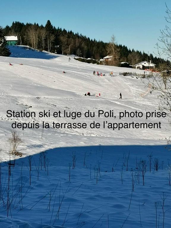 APPT 3 LE HAUT DES LACS appartement pied des pistes 14