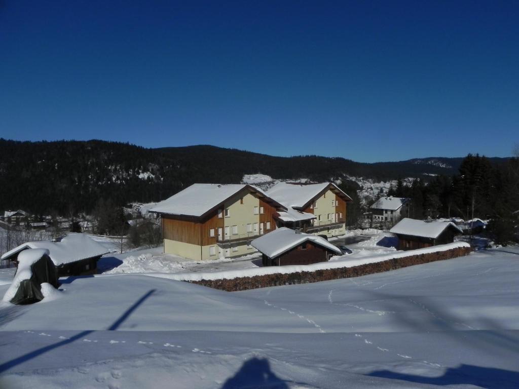 APPT 3 LE HAUT DES LACS appartement pied des pistes 15