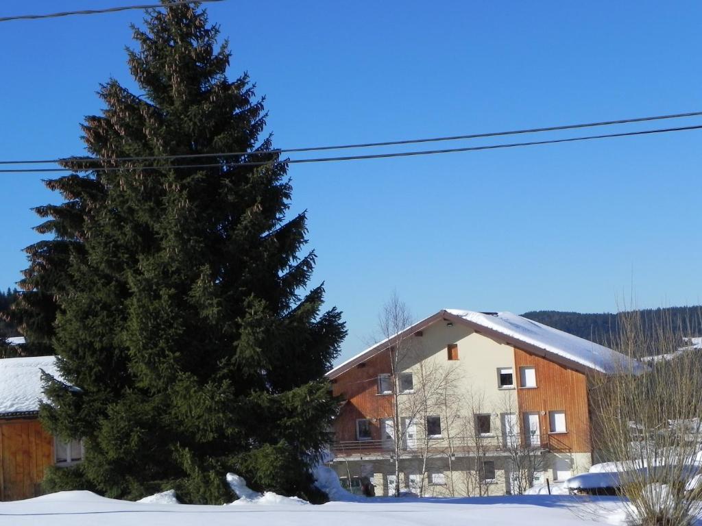 APPT 3 LE HAUT DES LACS appartement pied des pistes 16