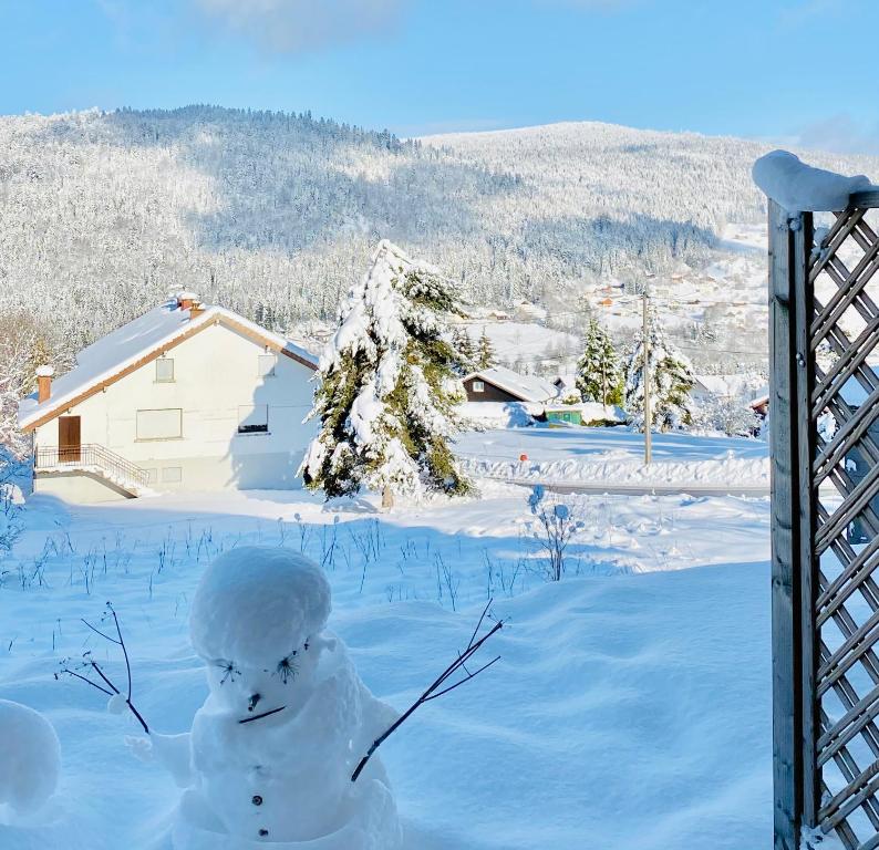 APPT 3 LE HAUT DES LACS appartement pied des pistes 17