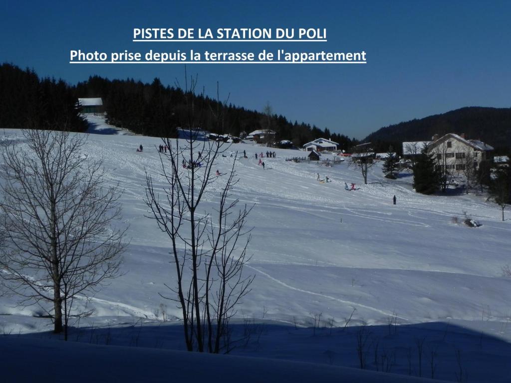 APPT 3 LE HAUT DES LACS appartement pied des pistes 19