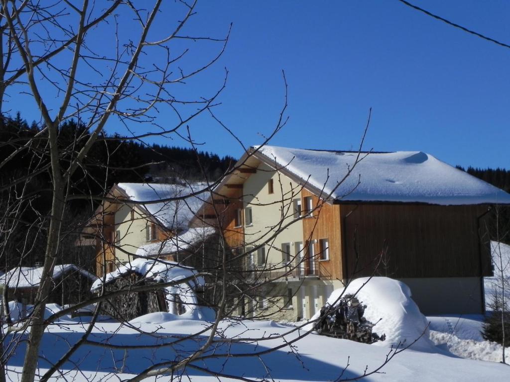 APPT 3 LE HAUT DES LACS appartement pied des pistes 5