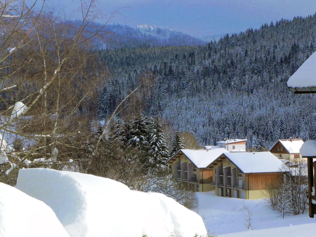 APPT 3 LE HAUT DES LACS appartement pied des pistes 7