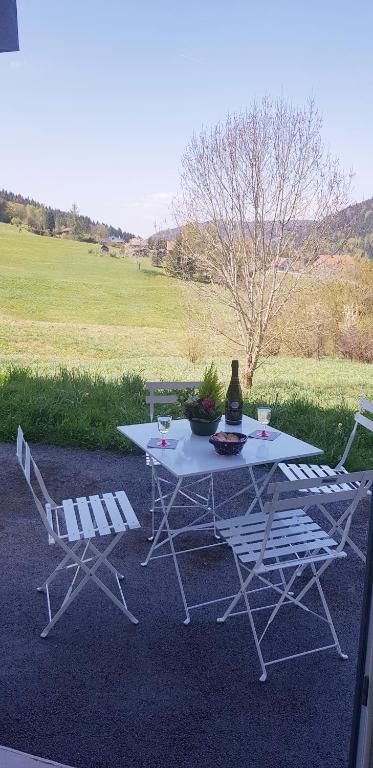 APPT 3 LE HAUT DES LACS appartement pied des pistes 8