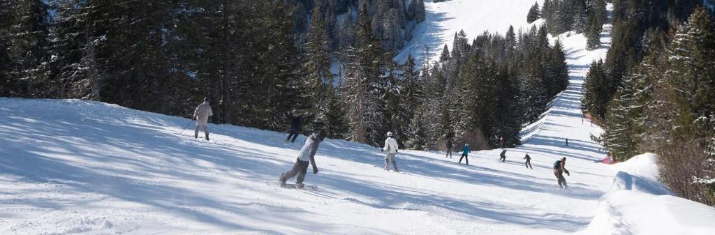 APPT 4 6 PERS 28m2 tout equipe 30m des pistes appartement pied des pistes 17