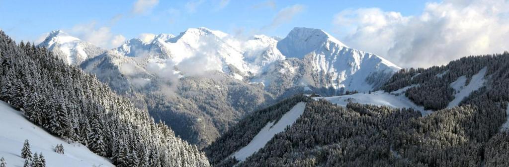 APPT 4 6 PERS 28m2 tout equipe 30m des pistes appartement pied des pistes 19