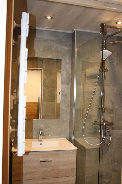 Alpage 1 appartement pied des pistes 17