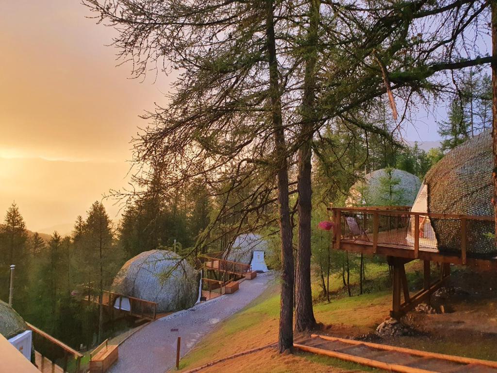 Alpin DHome Hotel Spa hotel pied des pistes 19