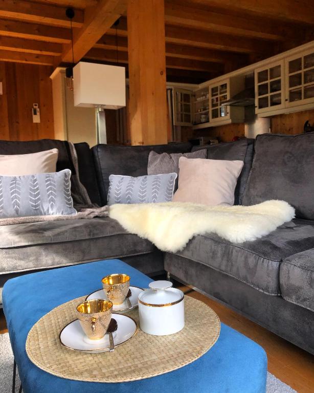 Alpine Retreat with Mont Blanc Panorama top location private parking chalet pied des pistes 14