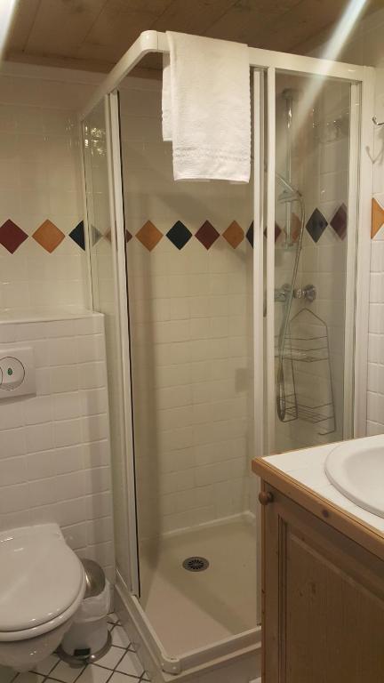 Apartment A 01 in St Martin de Belleville appartement pied des pistes 19