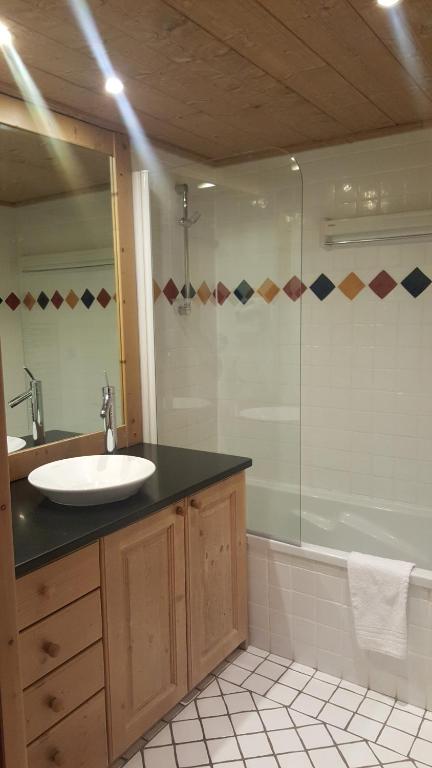 Apartment A 01 in St Martin de Belleville appartement pied des pistes 7
