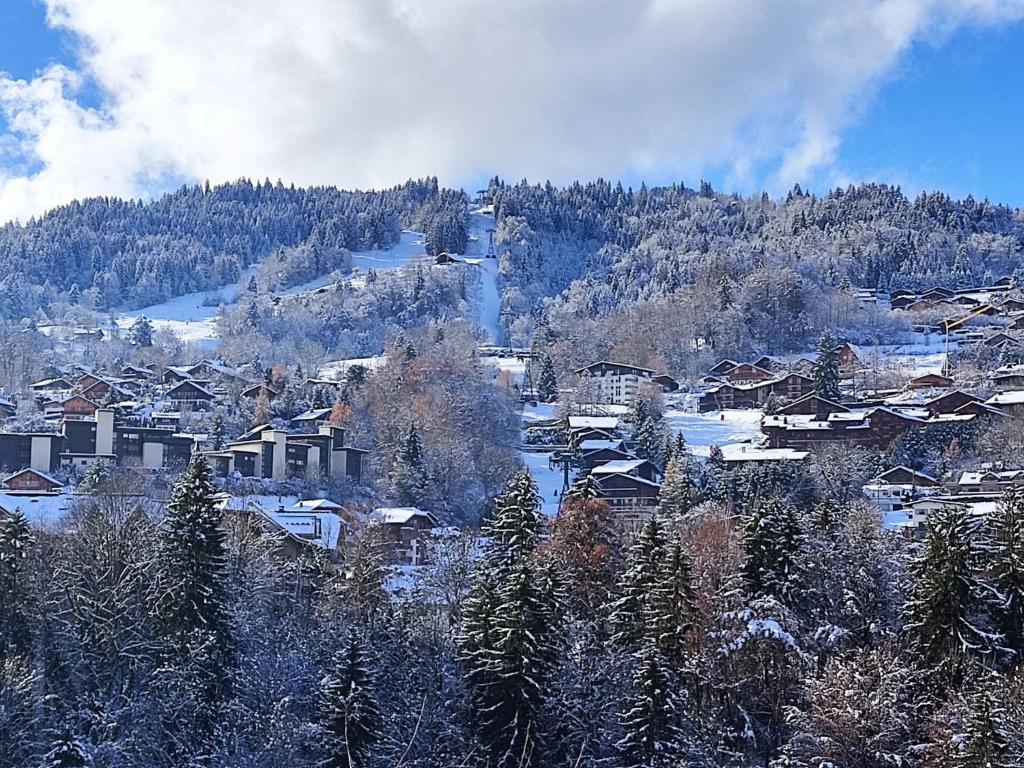 Apartment Aiguille du midi by Interhome appartement pied des pistes 19