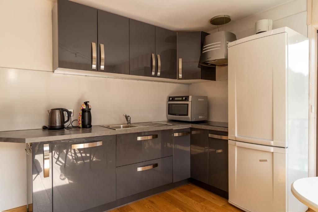 Apartment Grizzly 2 bedrooms Ski inout Les Gets appartement pied des pistes 7