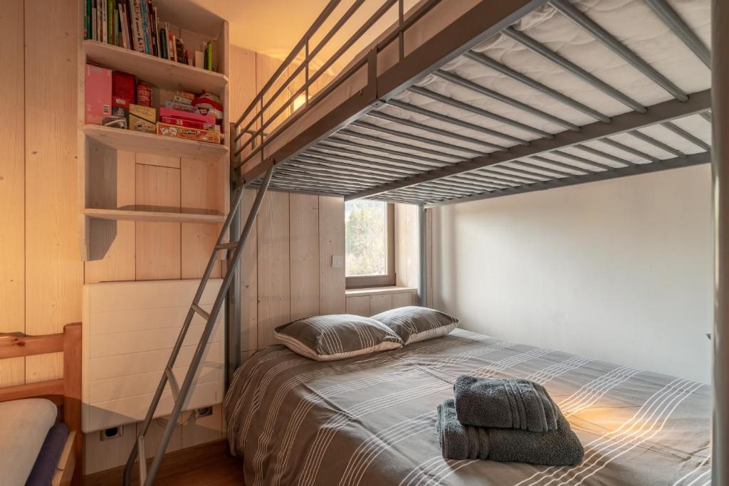 Apartment Grizzly 2 bedrooms Ski inout Les Gets appartement pied des pistes 9