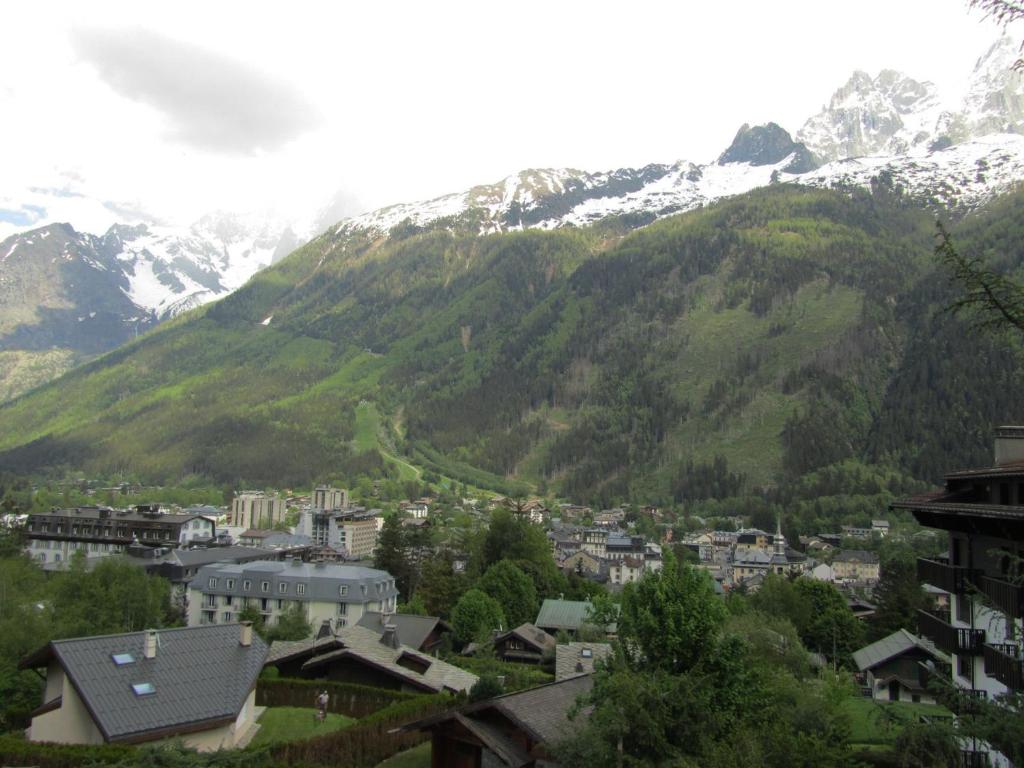 Apartment Le Pied du Brevent Walk to Ski Lift Chamonix Getaway appartement pied des pistes 12