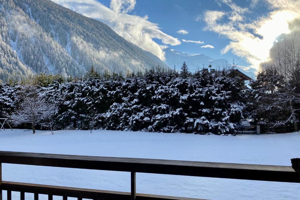 Apartment With Balcony Close To The Ski Slopes appartement pied des pistes 2