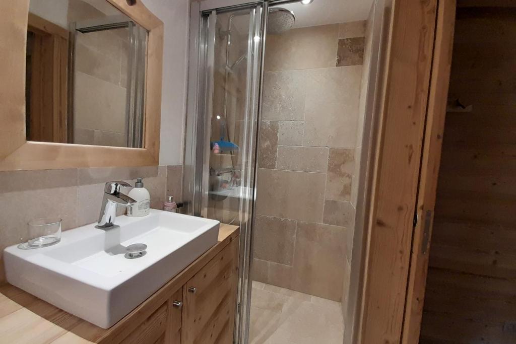 Apartment in the center of the village appartement pied des pistes 10