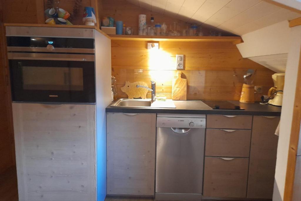 Apartment in the center of the village appartement pied des pistes 5