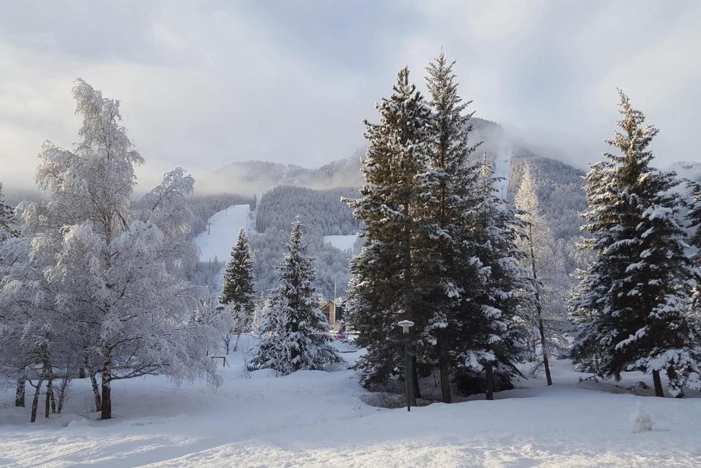 Apartment with balcony just next to ski slope appartement pied des pistes 17