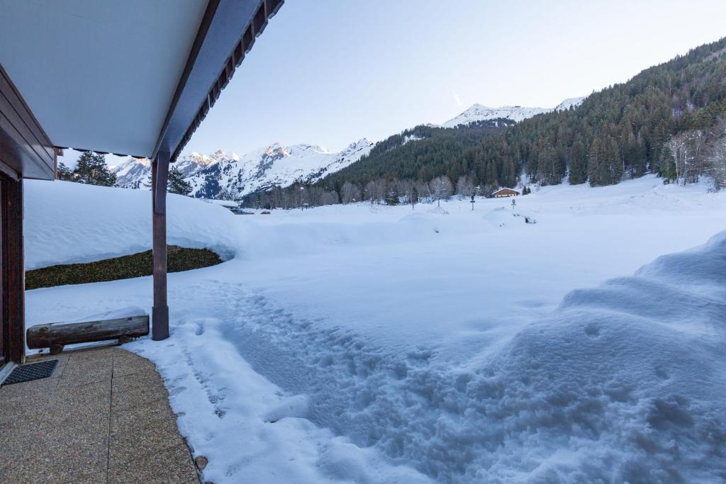 Apartment with terrace at the foot of the slopes appartement pied des pistes 8