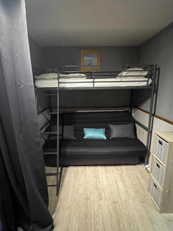 Appart 45 pers residence 4 des Bergers pieds des pistes appartement pied des pistes 1