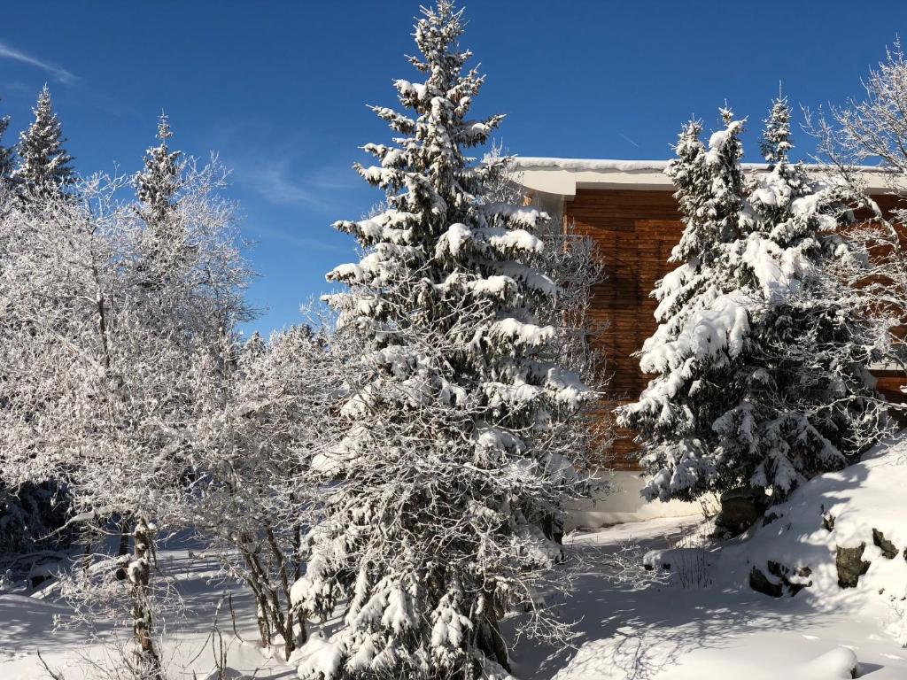 Appartement Chamrousse appartement pied des pistes 4