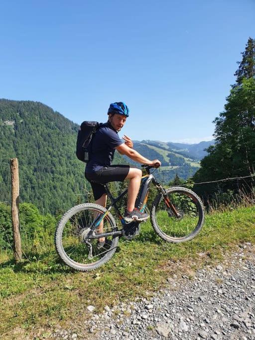 Appartement La Duchere Le Plan la Giettaz massif des Aravis appartement pied des pistes 4