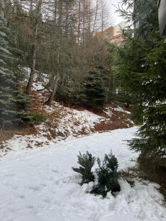 Appartement Les Menuires 4 personnes a 20 m des pistes appartement pied des pistes 13