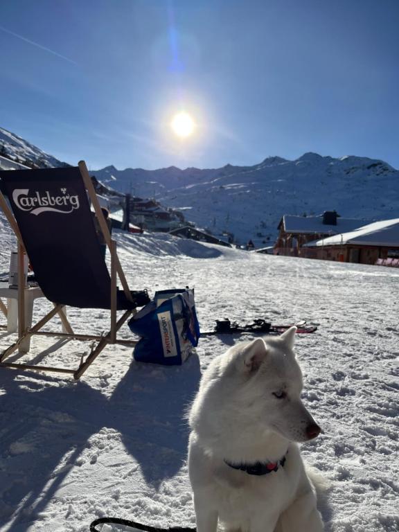 Appartement Les Menuires 4 personnes a 20 m des pistes appartement pied des pistes 18