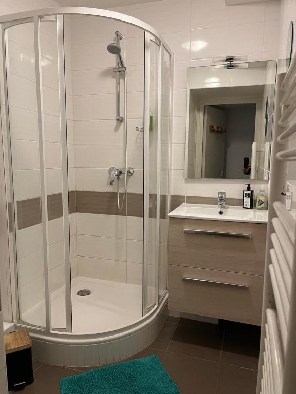 Appartement Les Menuires 4 personnes a 20 m des pistes appartement pied des pistes 2