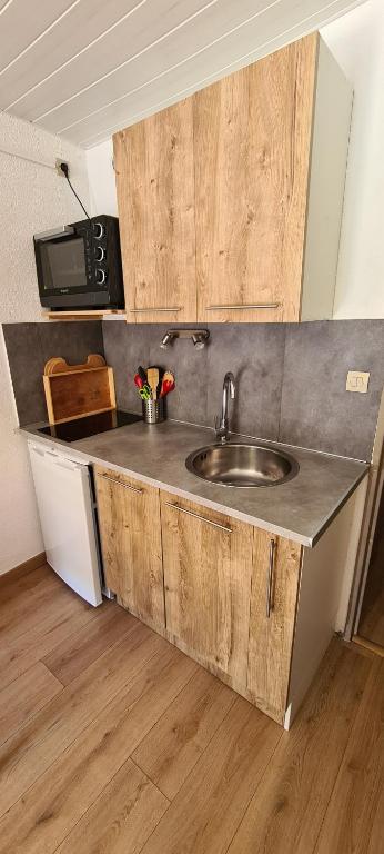 Appartement Puy Saint Vincent appartement pied des pistes 3