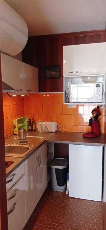 Appartement St Lary Soulan pied des pistes le Pla dAdet 5 personnes appartement pied des pistes 1