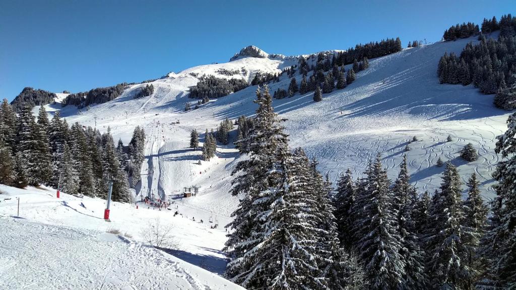 Appartement T2 ideal pour une famille appartement pied des pistes 15